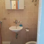 Franic Apartman Saplunara