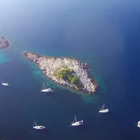 Franić