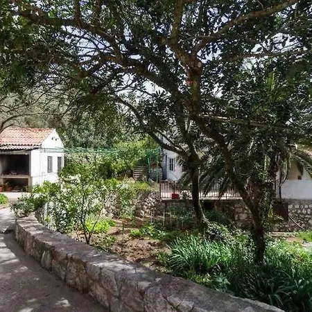 Franic Apartment Saplunara