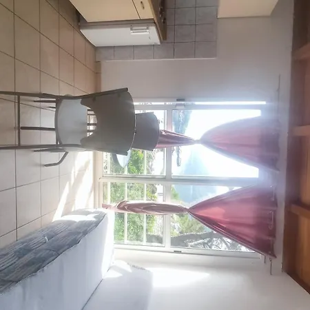 Apartment Franic *