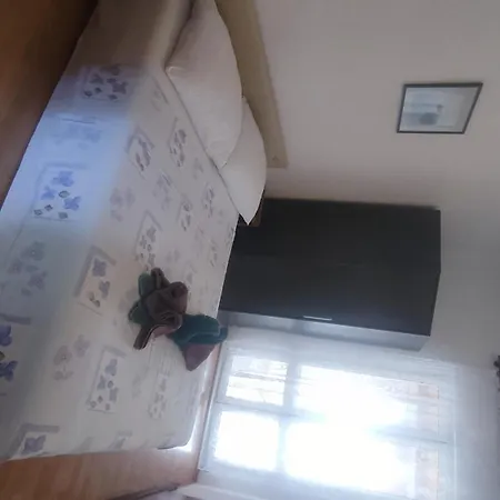 Franic Apartment Saplunara